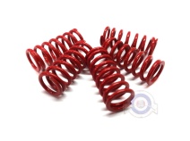 Vista delantera del kit muelles embrague TJT Derbi en stock