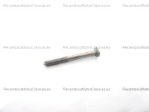 Producto relacionad Tornillo cuenta kilometros Vespa