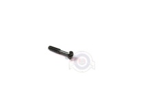 Producto relacionad Tornillo tulipa piloto trasero Vespa