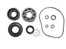 Vista principal del kit rodamientos y retenes Vespa T5 en stock